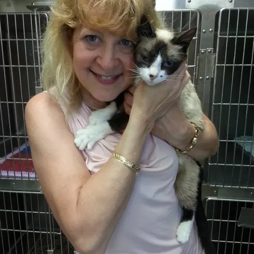 Staff member holding kitten 